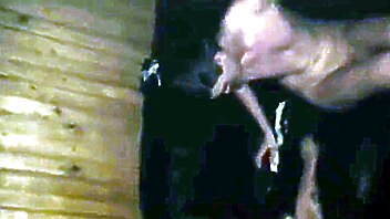 Free male gay gay, drunk amateur, russian amateur blowjob, russian sauna, blonde russian blowjob, drunk you tube